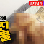 출연배우 유리-초대남에 터진 봇물-미리보기