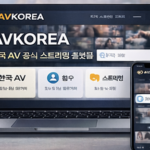 한국 AV 콘텐츠란 무엇인가