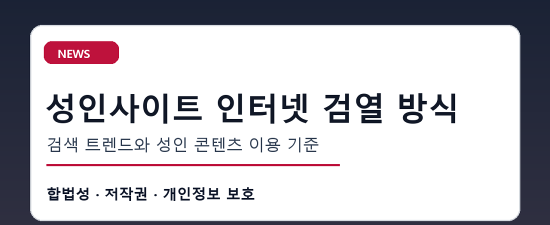 성인사이트 접속 장애와 차단 논란, 이용자가 확인할 안전 기준