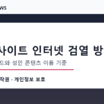 성인사이트 인터넷 검열 방식 검색 트렌드와 성인 콘텐츠 이용 기준