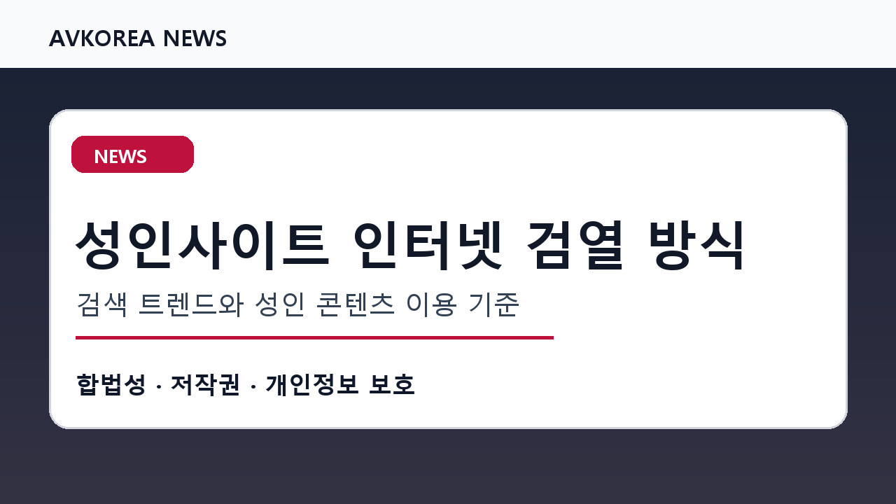 성인사이트 인터넷 검열 방식 검색 트렌드와 성인 콘텐츠 이용 기준