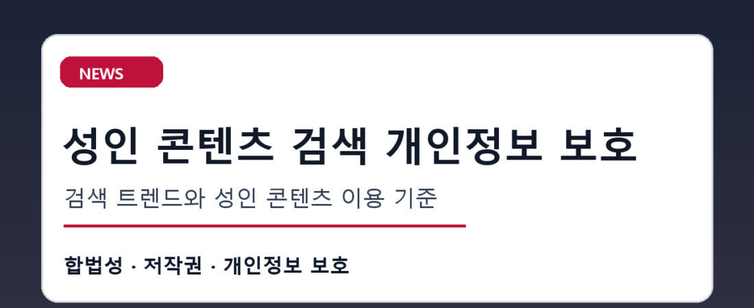 성인 콘텐츠 검색 개인정보 보호 관심 증가, 안전한 성인 콘텐츠 이용법은